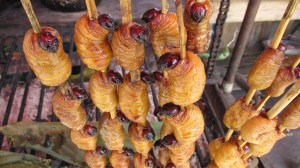 Larva BBQ, Iquitos, Perú