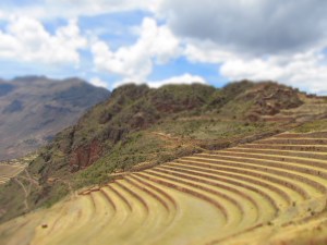 Terraces of Pisaq, Perú